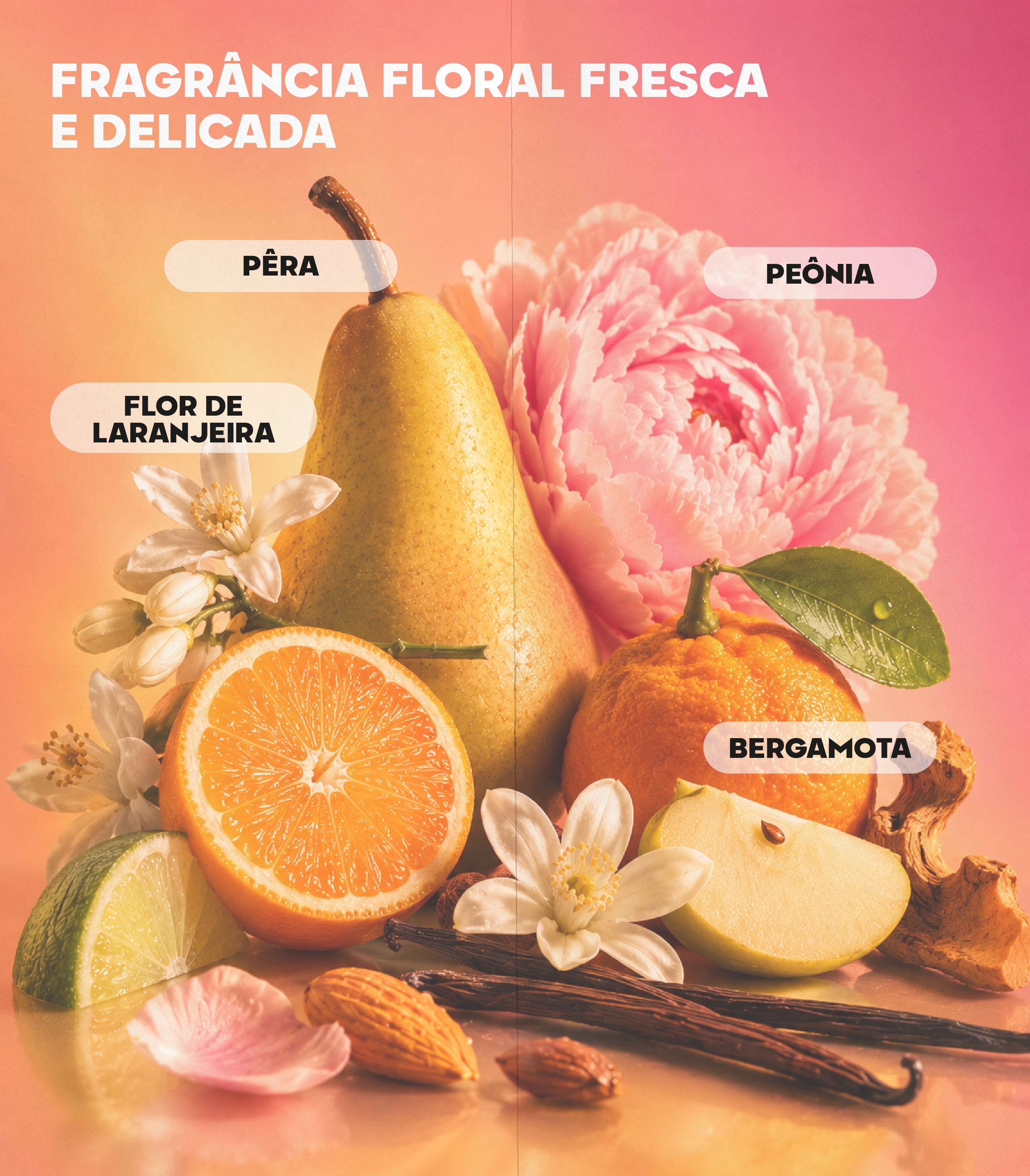 Kit Força & Brilho Rildy