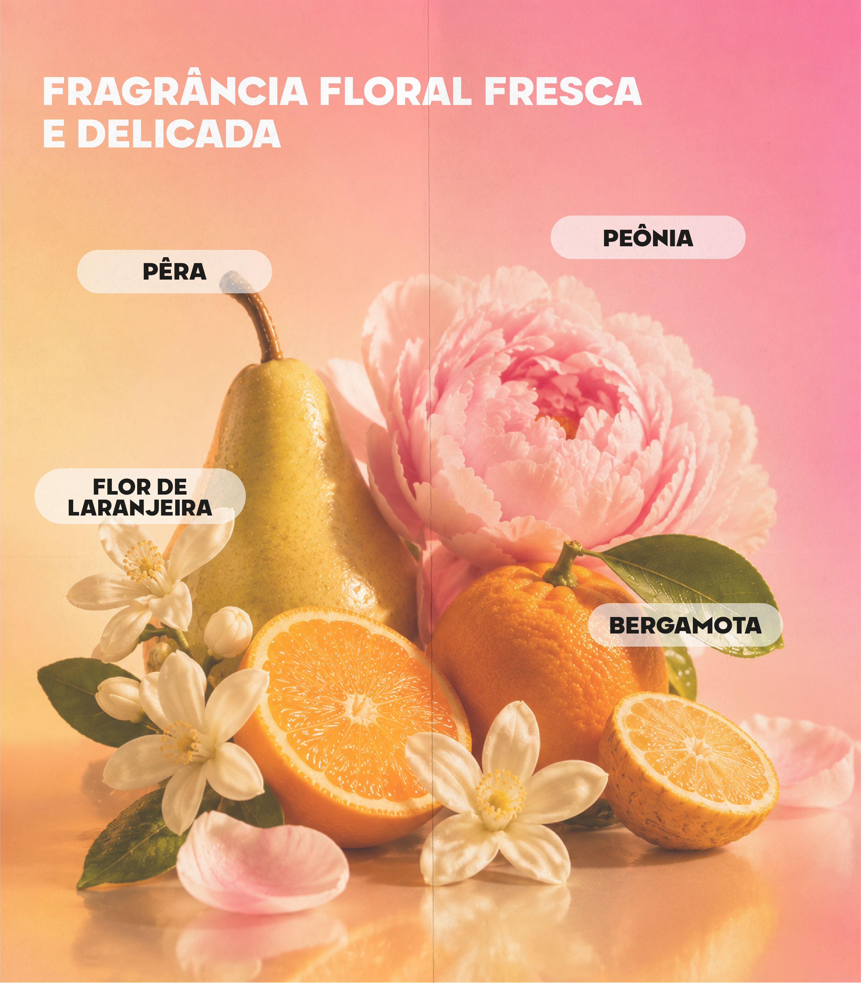 Ritual Proteico 320ml